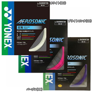 y˂uTEhzypbP[WizlbNX(YONEX) GA\jbN BGAS(17y10m)oh~gKbg[gN[|v[g]