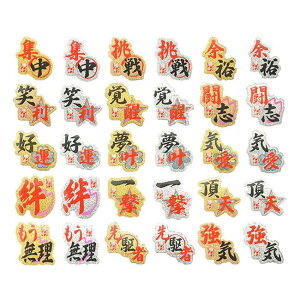 13~N[|I݌ɏzyPbgɓ\ăeVUPIzBNg[V[([h) DV002(17y6m)[gN[|v[g]