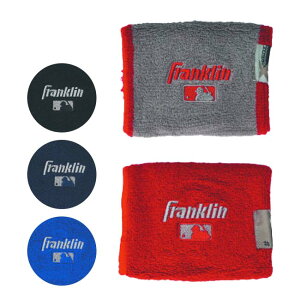 Ԍ|CgAbvIFRANKLIN(tN) jZbNX o[Vu Xgoh 2g 싅 x[X{[ Ki 23450CX(23y3m)[gN[|v[g]