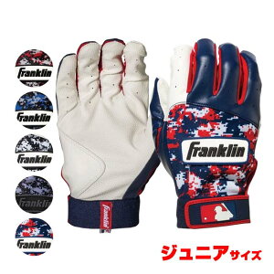 121܂Ń|CgAbvIypZbgzFRANKLIN(tN) DIGITEK fWebN fW^ʕ obeBOO[u [X WjA qǂp(24y12m)[gN[|v[g]