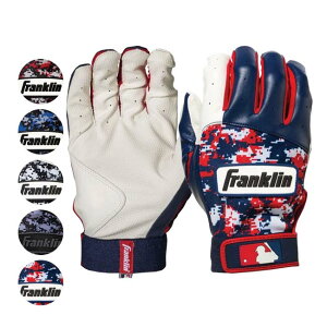 ypZbgzFRANKLIN(tN) DIGITEK fWebN fW^ʕ obeBOO[u A_g lp(24y12m)[gN[|v[g]