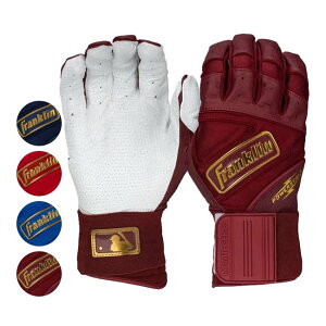 Ԍ|CgAbvIypZbgzFRANKLIN(tN) POWERSTRAP p[Xgbv CtBjbgV[Y obeBOO[u S[hS A_g lp(24y12m)[g