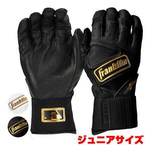 ypZbgzFRANKLIN(tN) POWERSTRAP p[Xgbv CtBjbgV[Y obeBOO[u S[hS [X qǂp(24y12m)[gN[|v[g]