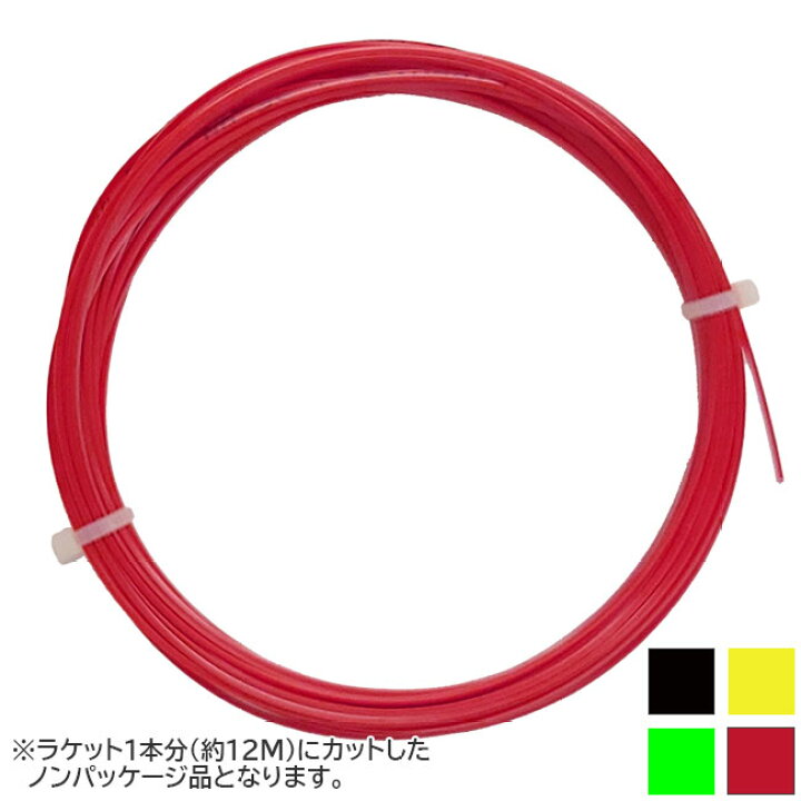 楽天市場】＼決算祭第5弾！最大1000円OFFクーポン／【お試し12Mカット