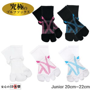 ɂ̃St\bNX(V[g) WjA 20-22cm T|[gC ̋@\\bNX  252039995(18y11m)[gN[|v[g]