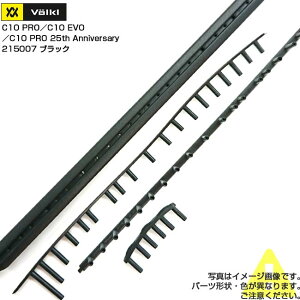 �y�O�����b�g�z�t�H���N��(Volkl) C10 Pro�^C10 Evo�^C10 Pro 25th Anniversary C10�v���^C10�G�{�^C10�v�� 25���N����� �����p�O�����b�g 215007-BK(24y2m)[����g����N�[�|���v���[���g]