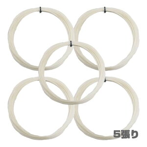 y5Setzy12MJbgizgA\(TOALSON) VZeBbNKbg CU[^Cv 1.25mm dejX mtBgKbg 󎚂Ȃ (23y4m)[gN[|v[g]