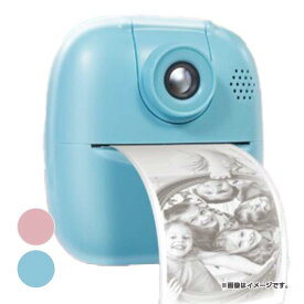 在庫処分特価】【撮影した写真がすぐにプリントシールに！】ハック(HAC) キッズデジタル プリントカメラ 動画・静止画撮影可能 ゲーム MP3再生 HAC4125A(24y6m)[次回使えるクーポンプレゼント]