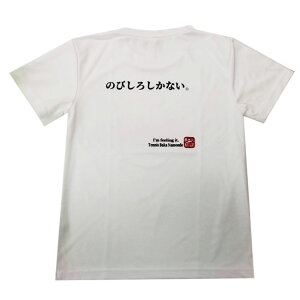 y8722BUY 8%OFFN[|z؂II݌ɏzy{TCYzejXn jZbNX hC obNvgTVc ŵт낵ȂBx (21y3mejX)[g