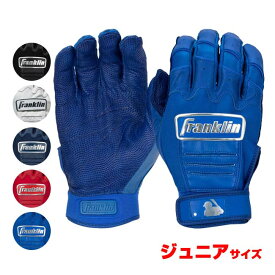 期間限定ポイントアップ！【両手用セット】【ジュニアサイズ】FRANKLIN(フランクリン) CFX PRO CHROME CFX プロ クローム バッティンググローブ YOUTH ユース 子ども用(25y3m)[次回使えるクーポンプレゼント]