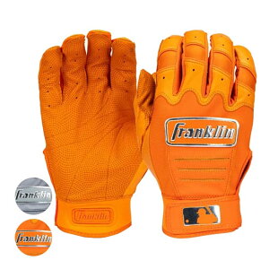 y14201000~N[|z121܂Ń|CgAbvIypZbgzFRANKLIN(tN) CFX PRO CHROME CFX v N[ obeBOO[u A_g lp(25y6m)[gN[