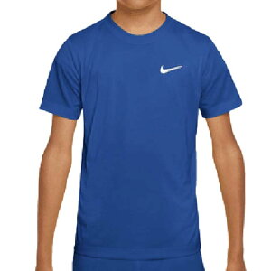 iCL(NIKE) 2025 FA WjA LEGEND WFh Dri-FIT TVc FZ5198-480 Q[C(25y7mg[jO)[gN[|v[g]
