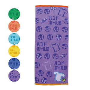 y14201000~N[|zy撣L~ɁIIz(}V) KbcII ^I 34×80cm ߂AbvPt 60501(25y11m)[gN[|v[g]