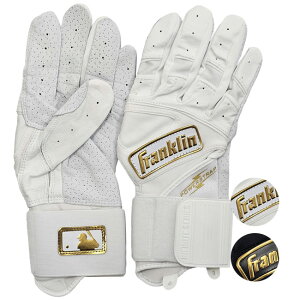 �y19������1000�~OFF�N�[�|���z�y����p�Z�b�g�zFRANKLIN(�t�����N����) POWERSTRAP �p���[�X�g���b�v �C���t�B�j�b�g�V���[�Y �o�b�e�B���O�O���[�u �S�[���h���S �A�_���g ��l�p(25y6m)[����g��