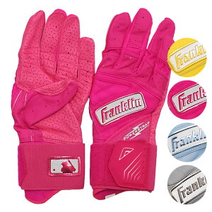 �y19������1000�~OFF�N�[�|���z�y����p�Z�b�g�zFRANKLIN(�t�����N����) POWERSTRAP �p���[�X�g���b�v �C���t�B�j�b�g�V���[�Y �o�b�e�B���O�O���[�u �n�C���C�g �A�_���g ��l�p(24y12m)[����g����