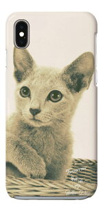 �X�}�z�P�[�X �n�[�h ������� �S�@��Ή� iPhone17 iPhone17e �P�[�X AQUOS sense10 sense9 wish5 Google Pixel9a Pixel10a Xperia 10 VII Galaxy S26 A25 5G OPPO Reno 13A iPhone16e iPhone16 Pro �X�}�z�J�o�[ �L �l�R �˂� �L���b�g