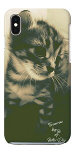 �X�}�z�P�[�X �n�[�h ������� �S�@��Ή� iPhone16e iPhone17 �P�[�X AQUOS sense10 sense9 wish5 Google Pixel9a Pixel10 Xperia 10 VII Galaxy S25 A25 5G OPPO Reno 13A iPhone16 iPhone15 Pro �g�уP�[�X �L �l�R �˂� �L���b�g ��