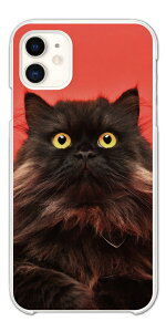 yŒZz Google Pixel 9a P[X X}zP[X n[h  O[O sNZ Pixel10 Pro XL Pixel9a Pixel8a sNZ10 sNZ9a sNZ8a Pixel8 Pixel7a Pixel7 Pixel6a gуP[X L lR 