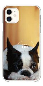 �y�ŒZ���������z Galaxy S26 �P�[�X �X�}�z�P�[�X �n�[�h ������� �M�����N�V�[ A25 5G S25 Ultra S24 FE S23 S22 S21 S20 S10 A36 �M�����N�V�[S26 �M�����N�V�[S25 �M�����N�V�[A25 �X�}�z�J�o�[ �t�����`�u