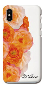 yŒZz Galaxy S25 P[X n[hP[X MNV[ A25 5G S24 Ultra S23 FE S22 S21 S20 5G S10 A55 A54 A53 A52 A51 A41 A36 A23 A22 A21 Jo[  킢 ԕ  {^jJ [Y Ђ܂