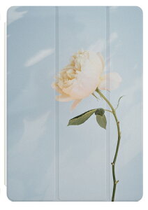 iPad P[X A16 10 9 8 7 6 킢 ؍ 10.9C` 10.2C` iPad Air M3 M2 11C` 13C` Air5 Air4 iPad mini A17 Pro mini6 mini5 iPad Pro M4 Jo[   ʐ^ J