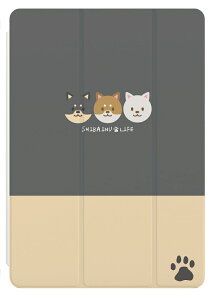 iPad P[X A16 10 9 8 7 6 킢 ؍ 10.9C` 10.2C` iPad Air M3 M2 11C` 13C` Air5 Air4 iPad mini A17 Pro mini6 mini5 iPad Pro M4 Jo[  Č tFCX