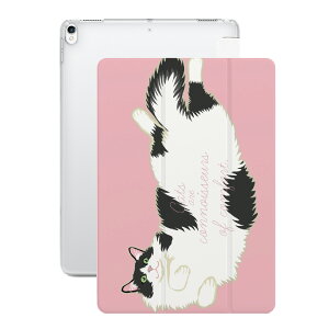 iPad P[X A16 10 9 8 7 6 킢 ؍ 10.9C` 10.2C` iPad Air M3 M2 11C` 13C` Air5 Air4 iPad mini A17 Pro mini6 mini5 iPad Pro M4 Jo[  L lR ˂ 