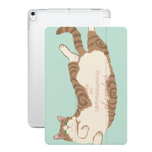 iPad P[X A16 10 9 8 7 6 킢 ؍ 10.9C` 10.2C` iPad Air M3 M2 11C` 13C` Air5 Air4 iPad mini A17 Pro mini6 mini5 iPad Pro M4 Jo[  L lR ˂ 