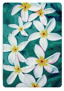 iPad �P�[�X A16 ��10���� ��9���� ��8���� ��7���� ��6���� ���킢�� �؍� 10.9�C���` 10.2�C���` iPad Air M3 M2 11�C���` 13�C���` Air5 Air4 iPad mini A17 Pro mini6 mini5 iPad Pro M5 M4 �J�o�[ ������� �v�������A 