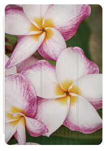 iPad P[X A16 10 9 8 7 6 킢 ؍ 10.9C` 10.2C` iPad Air M3 M2 11C` 13C` Air5 Air4 iPad mini A17 Pro mini6 mini5 iPad Pro M4 Jo[  vA n