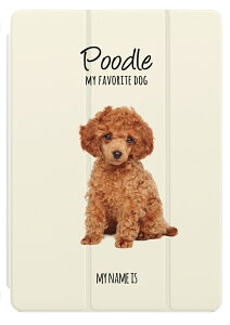  v[g iPad P[X A16 10 9 8 7 6 킢 ؍ 10.9C` 10.2C` iPad Air M3 M2 11C` 13C` Air5 Air4 iPad mini A17 Pro mini6 mini5 iPad Pro M4 Jo[ 