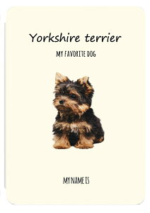  v[g iPad P[X A16 10 9 8 7 6 킢 ؍ 10.9C` 10.2C` iPad Air M3 M2 11C` 13C` Air5 Air4 iPad mini A17 Pro mini6 mini5 iPad Pro M4 Jo[ 