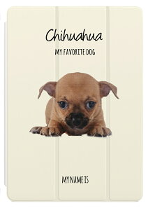  v[g iPad P[X A16 10 9 8 7 6 킢 ؍ 10.9C` 10.2C` iPad Air M3 M2 11C` 13C` Air5 Air4 iPad mini A17 Pro mini6 mini5 iPad Pro M4 Jo[ 