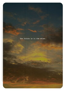 iPad P[X A16 10 9 8 7 6 킢 ؍ 10.9C` 10.2C` iPad Air M3 M2 11C` 13C` Air5 Air4 iPad mini A17 Pro mini6 mini5 iPad Pro M4 Jo[  tHg ʐ^ 