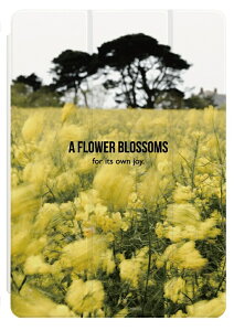 iPad P[X A16 10 9 8 7 6 킢 ؍ 10.9C` 10.2C` iPad Air M3 M2 11C` 13C` Air5 Air4 iPad mini A17 Pro mini6 mini5 iPad Pro M4 Jo[   ԕ tH