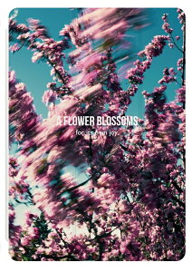 iPad P[X A16 10 9 8 7 6 킢 ؍ 10.9C` 10.2C` iPad Air M3 M2 11C` 13C` Air5 Air4 iPad mini A17 Pro mini6 mini5 iPad Pro M4 Jo[   ԕ tH