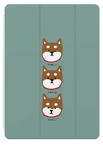 iPad P[X Jo[ y[ A16 10 9 8 7 6 ؍  10.9C` 10.2C` iPad Air M3 M2 11C` 13C` Air5 Air4 iPad mini A17 Pro mini6 mini5 iPad Pro M4 Jo[ Č 