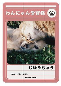 iPad �P�[�X �J�o�[ �y�����[ A16 ��10���� ��9���� ��8���� ��7���� ��6���� ���킢�� �؍� 10.9�C���` 10.2�C���` iPad Air M3 M2 11�C���` 13�C���` Air5 Air4 iPad mini A17 Pro mini6 mini5 iPad Pro M5 M4 �J�o�[ �m�[