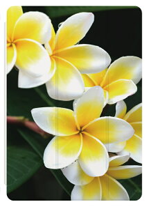 iPad P[X Jo[ y[ A16 10 9 8 7 6 ؍  10.9C` 10.2C` iPad Air M3 M2 11C` 13C` Air5 Air4 iPad mini A17 Pro mini6 mini5 iPad Pro M4 Jo[ v