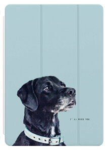 iPad P[X Jo[ y[ A16 10 9 8 7 6 ؍  10.9C` 10.2C` iPad Air M3 M2 11C` 13C` Air5 Air4 iPad mini A17 Pro mini6 mini5 iPad Pro M4 Jo[  