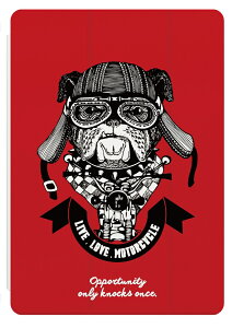 iPad P[X Jo[ y[ A16 10 9 8 7 6 ؍  10.9C` 10.2C` iPad Air M3 M2 11C` 13C` Air5 Air4 iPad mini A17 Pro mini6 mini5 iPad Pro M4 Jo[  ߂