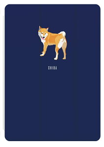 iPad P[X Jo[ y[ A16 10 9 8 7 6 ؍  10.9C` 10.2C` iPad Air M3 M2 11C` 13C` Air5 Air4 iPad mini A17 Pro mini6 mini5 iPad Pro M4 Jo[ Č 