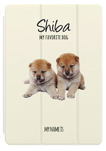  v[g iPad P[X Jo[ y[ A16 10 9 8 7 6 ؍  10.9C` 10.2C` iPad Air M3 M2 11C` 13C` Air5 Air4 iPad mini A17 Pro mini6 mini5 iPad Pro