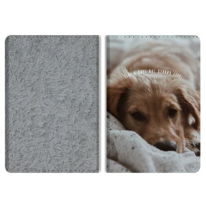 pX|[gP[X ܂ Xgbvz[t Y fB[X  킢 h~ h~ J[h y {^ Jo[ y v Mtg v[g   Q 