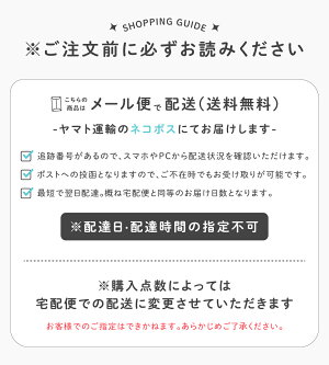 10 9インチipad Air Wi Fiモデル 256gb シルバー Apple 日本