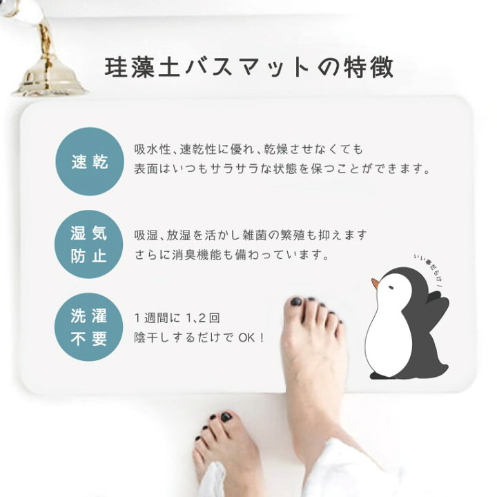 楽天市場 名入れ プレゼント 珪藻土バスマット 珪藻土 バスマット ノンアスベスト お風呂 マット グッズ おしゃれ かわいい お風呂場 温泉グッズ 子供 キッズ 植物 花 イラスト Flower 観葉植物 緑 サボテン 可愛い スマホケース全機種 Amuse Store