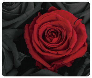 }EXpbh   킢  Q[~O ItBX ObY fXN PC p\R Ӌ@ }EX pbh CX}EX L}EX pbh  ԕ KN [Y {^