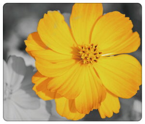 }EXpbh   킢  Q[~O ItBX ObY fXN PC p\R Ӌ@ }EX pbh CX}EX L}EX pbh  ԕ KN [Y {^