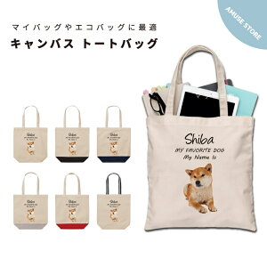  v[g g[gobO fB[X Y   LoX }} g[g GRobO WobO W vg 킢    Č  񂿂 ybg