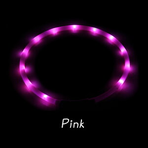 犬 首輪 光る レインボー おしゃれ LED USB 充電式 猫 光る首輪 ペット 夜 散歩 ライト 暗闇 安全 くびわ 負担 少ない 小型犬 柴犬 犬首輪 犬の首輪 かわいい ブランド 中型犬 いぬ 軽い 犬用首輪